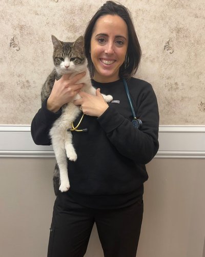 Dr. Ariana Mihailides