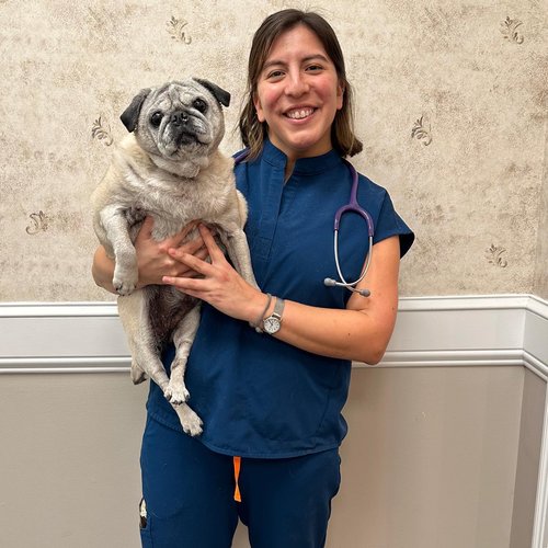 Dr. Gabriela Villanueva